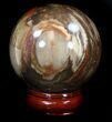 Colorful Petrified Wood Sphere #36968-2